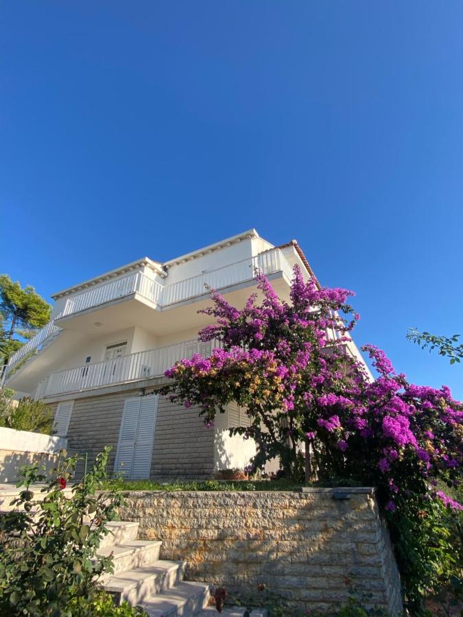 Indigo Cavtat